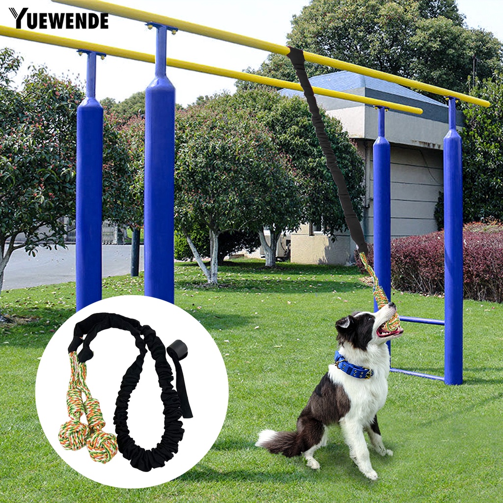 Yq.e Đồ Chơi Dây Thừng Co Giãn Tốt Giảm Căng Thẳng Làm Sạch Răng Chống Rách Cỡ Nhỏ Vừa Lớn Cho Cún Cưng Trong Nhà / Ngoài Trời