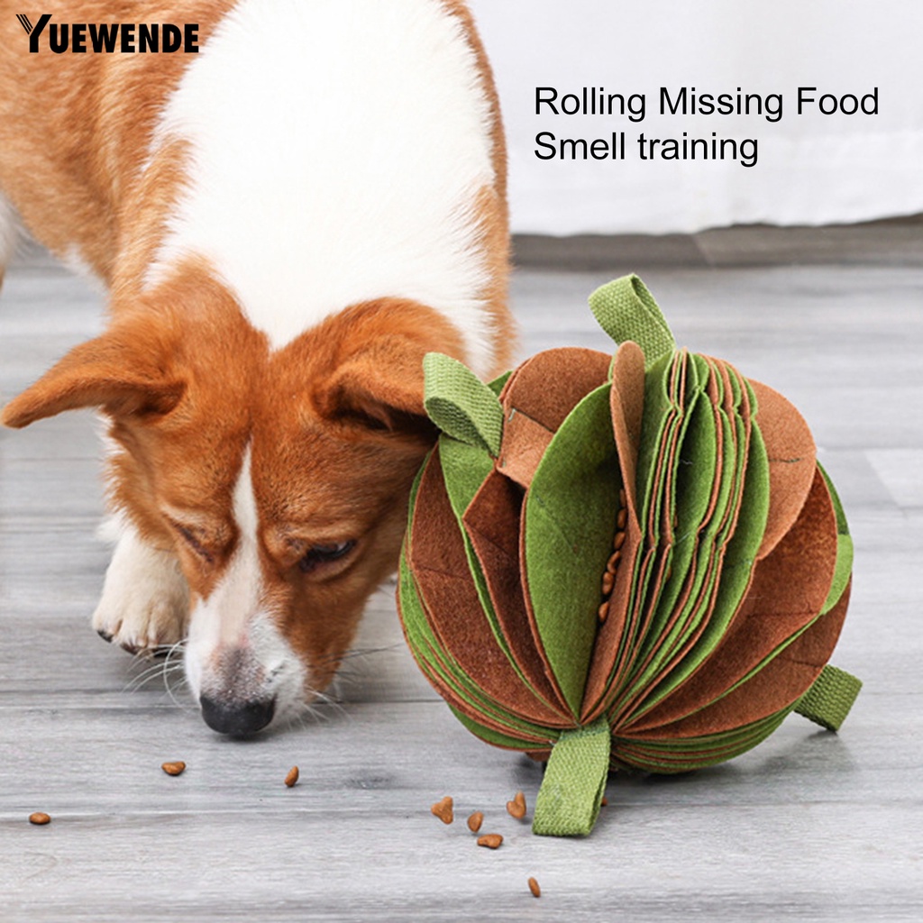 Bóng Đồ Chơi Chống Cắn Linh Hoạt Huấn Luyện Thú Cưng Trong Nhà