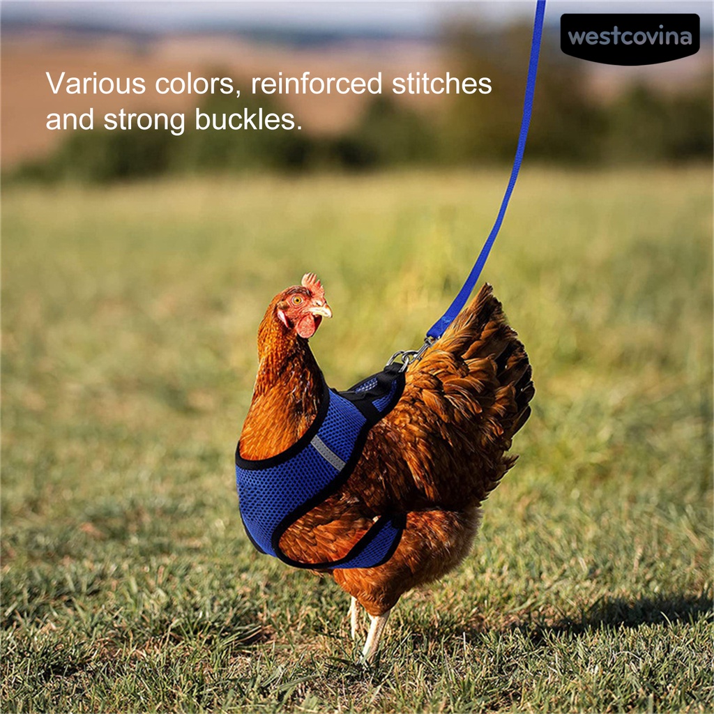 [COD]♞1 Bộ Dây Đai Dắt Gà / Vịt Thoáng Khí Tùy Chỉnh Tiện Dụng Cho Sân Vườn