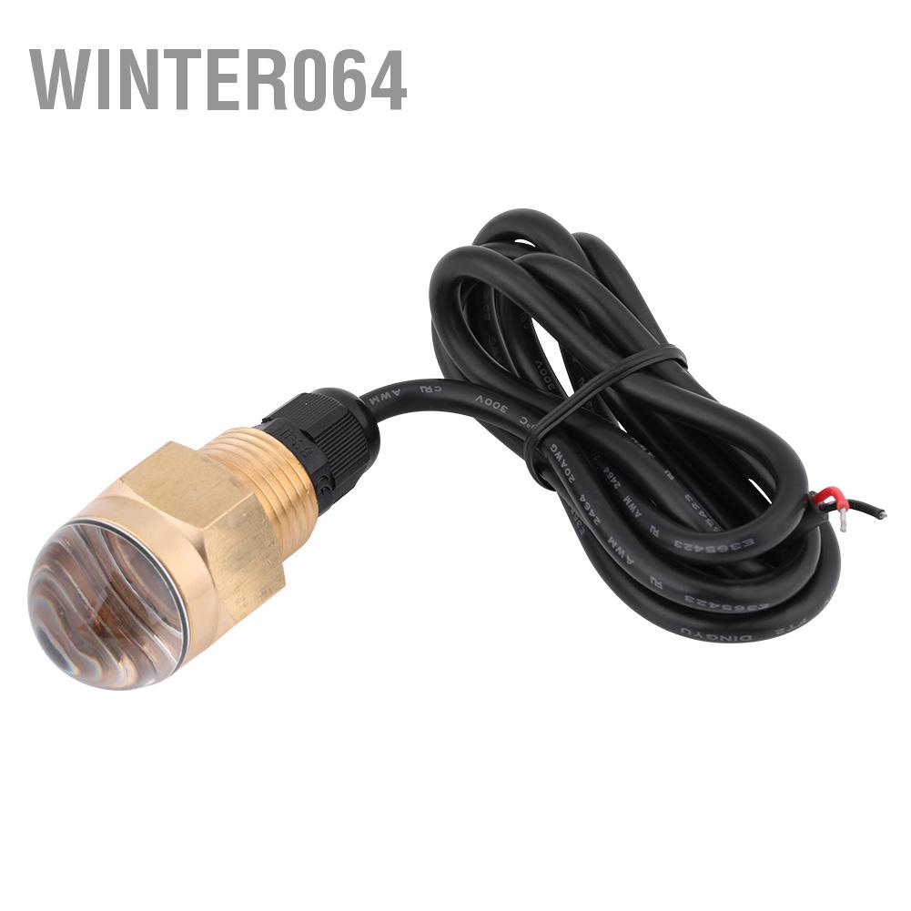 Winter064 Mềm Thuyền 12V Đồng Thủy Tinh LED Xanh Dương Dưới Nước Ánh Sáng Đèn Cống Plug1/2 &quot;NPT Du Phụ Kiện