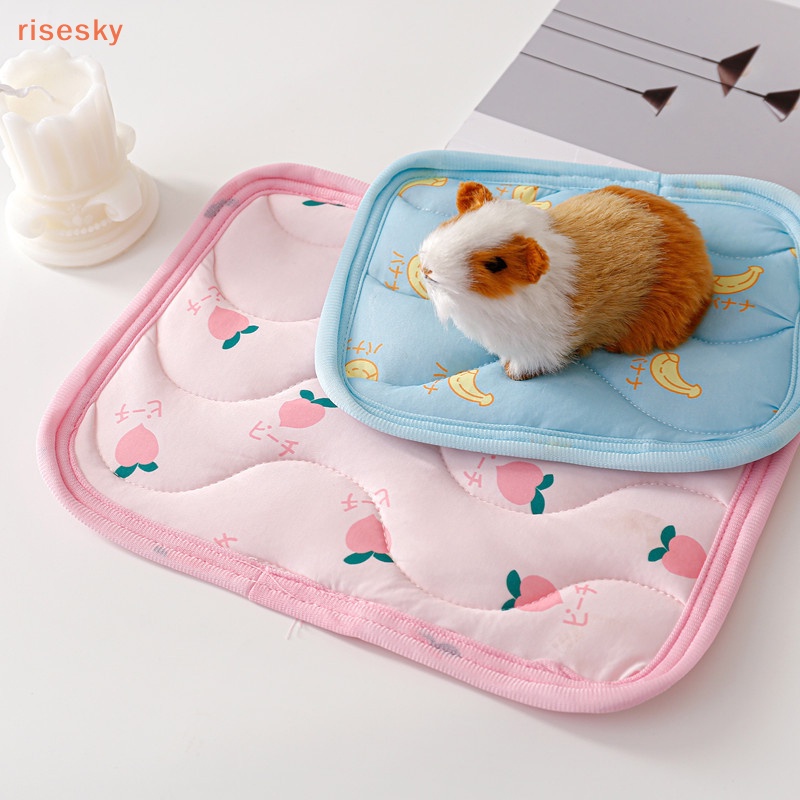Nệm Ngủ Mềm Mại Thoáng Khí Dày Dặn Họa Tiết Hoạt Hình Dành Cho Thú Cưng / Chuột Hamster / Thỏ / Sóc Cảnh