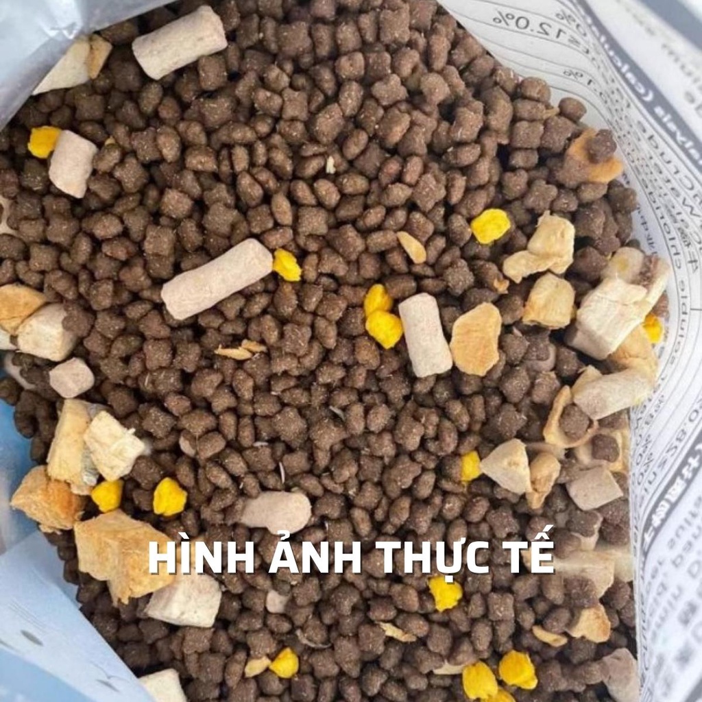 Thức ăn cho chó dạng hạt trộn cùng thịt sấy khô DONGPET cao cấp chuyên dành cho chó kén ăn bịch 2.5kg – UNU Pet House