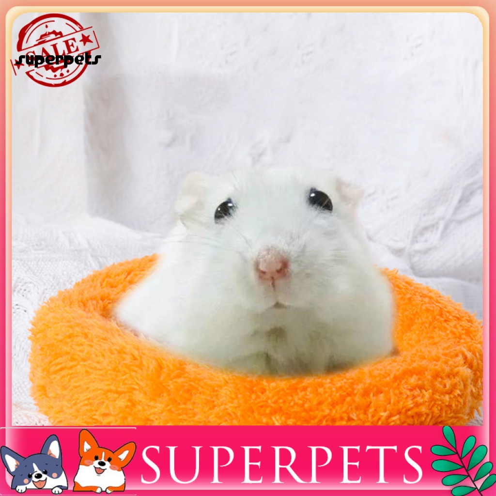 Giường Ngủ Cho Chuột Hamster, Nhím, Lợn Màu Sắc
