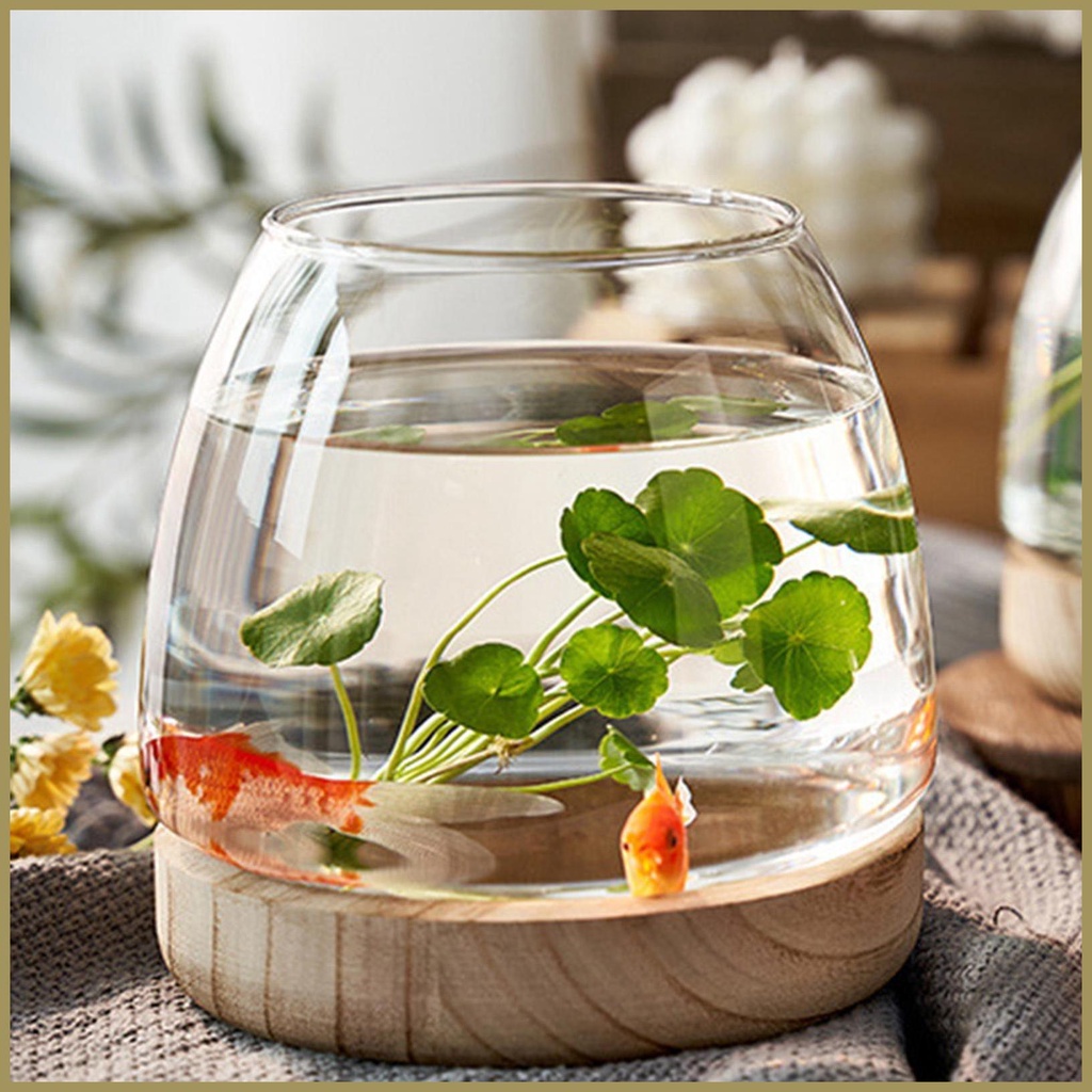 Bình Hoa Thủy Canh Trong Suốt Có Đế Sinh Thái Trang Trí Bể Cá paca3vn