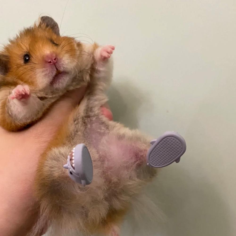 Dép Bông Đi Trong Nhà Hình Cá Mập Chuột Hamster Dễ Thương