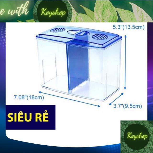Bể cá betta mini 2 ngăn tháo lắp - Hồ cá betta