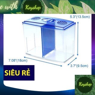 Bể cá betta mini 2 ngăn tháo lắp - Hồ cá betta -