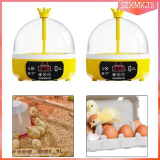 Trứng Kỹ Thuật Số Gà Giữ 4 Trứng Trứng Trứng Máy Nướng Trứng Máy Kỹ Thuật Số Cho Gà Bồ Câu Tiếp Liệu