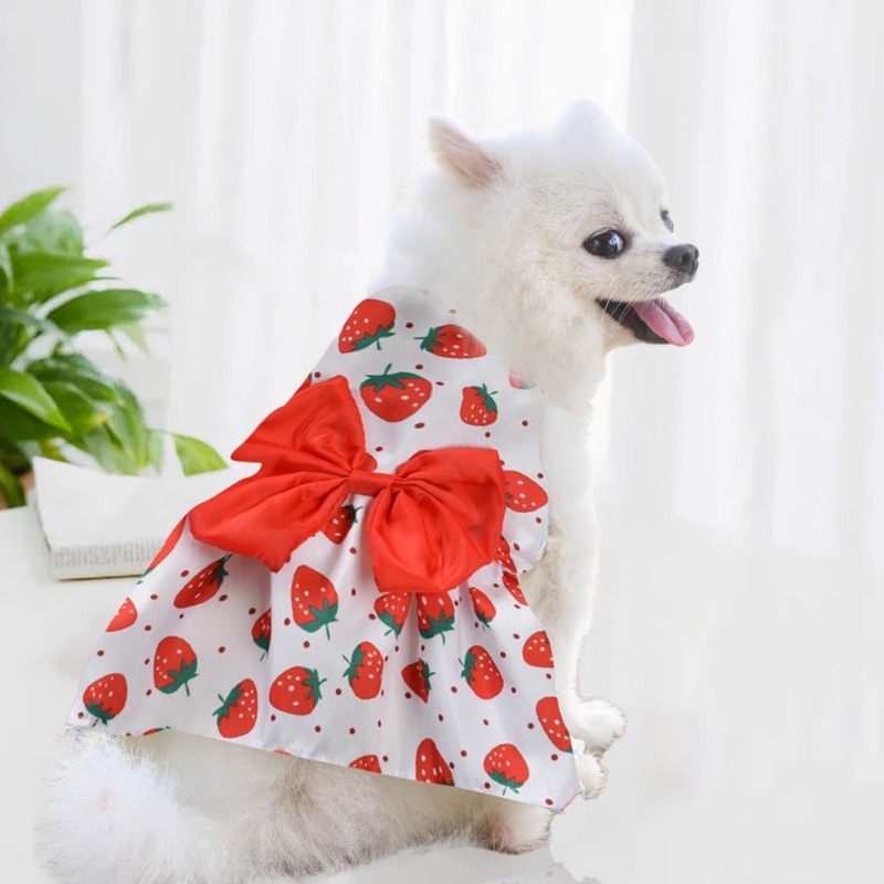 Dog dress shih tzu puppy skirt pet shirt cat quần áo s-xl thời trang dễ thương pet cat butterfly váy trái cây dứa bông vest quần áo mùa hè quần áo cún con