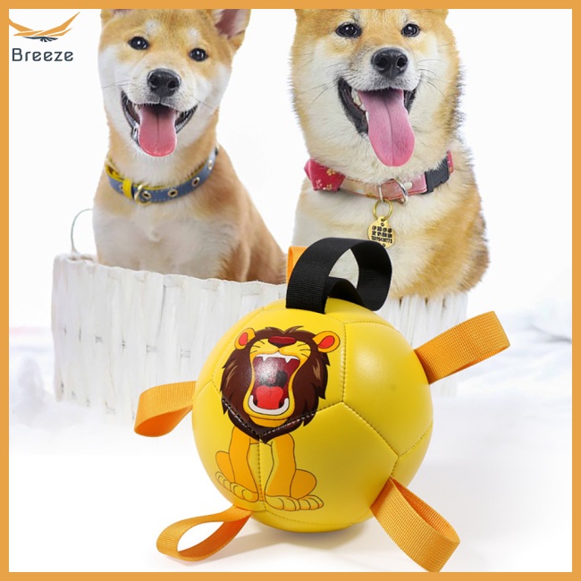 Bóng Đá Đồ Chơi Đa Năng Dành Cho Chó Cỡ Nhỏ / Vừa / Lớn