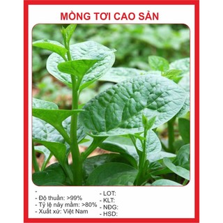 Hạt giống mồng tơi cao sản 20gr