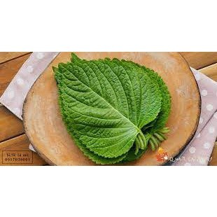 Hạt Giống Lá Mè Hàn Quốc (Vừng Hàn Quốc) (0.5Gr)