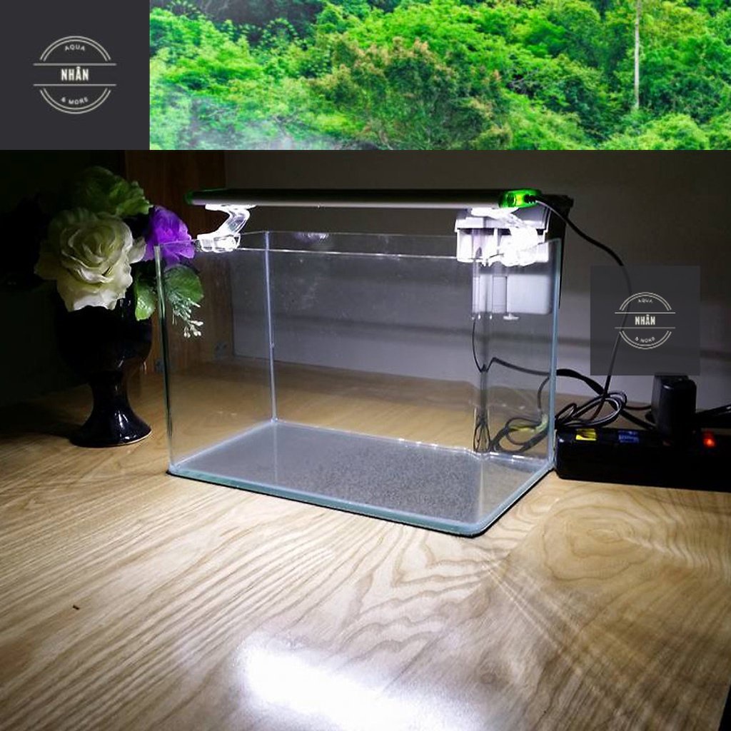 Bể Cá Mini , Hồ Thủy sinh 40x20x20 (DRC)- Dán giấu keo, mài cạnh, Lọc thác và Led 3 màu .(( Giao hỏa tốc HCM)
