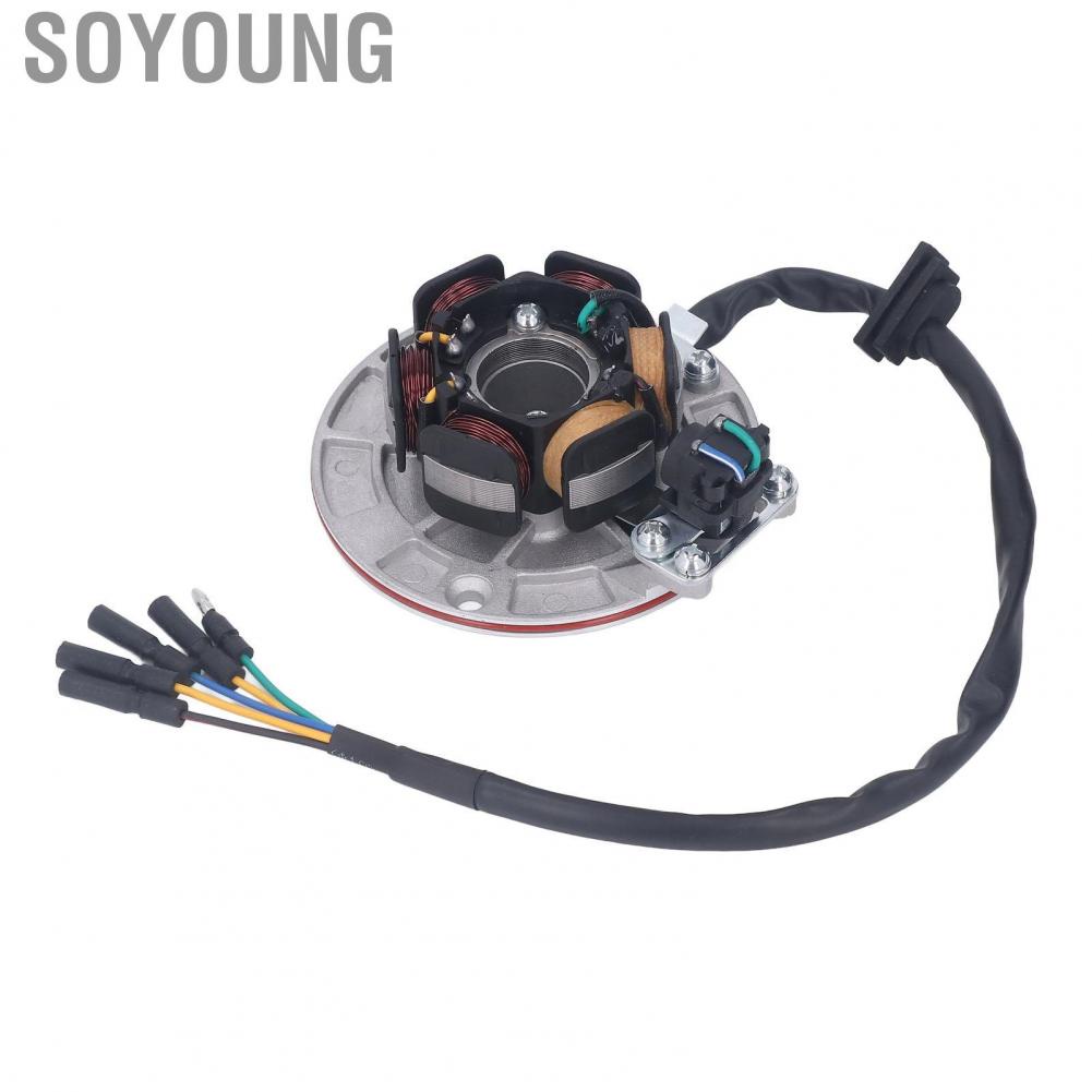 Soyoung Ignition Stator Rotor  Powerful Increase Intensity 75.10mm Coil Diameter 100.19mm Mounting Hole Magneto Flywheel for Motorcycle