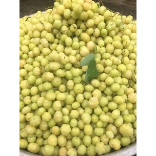Cây Chùm Ruột Ngọt Siêu Trái (cây giống chi lăng 47)