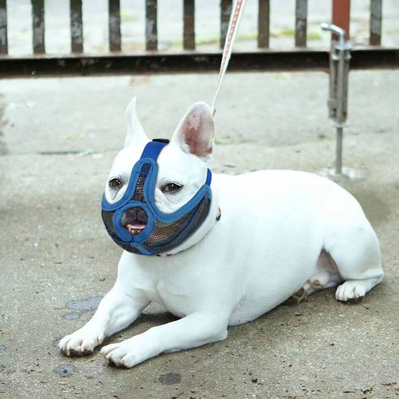 Pug French Bucket Mouth Cover Anti-Bite Mask Full Mesh Breathable Comfortable Adjustable Short Mouth Dog Anti-Bark Anti-Eat Disorderly Headgear 49EC