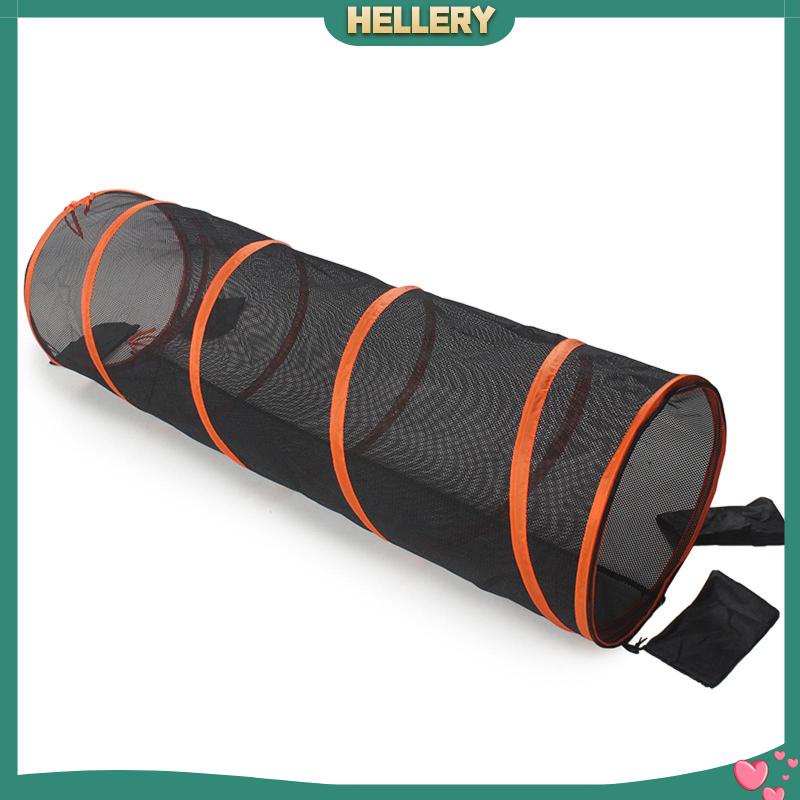 Đường Hầm Gấp Gọn Tiện Dụng Cho Mèo Cưng