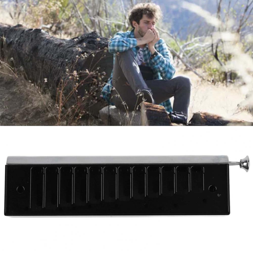 Kèn Harmonica Suzuki, Kèn Harmonica Tremolo Chuyên Dụng Chất Lượng Cao, 12 lỗ Chromatic Harmonica Comb Hợp kim nhôm Ngoại hình đẹp Portable Mouth Organ cho người mới bắt đầu AKOASM