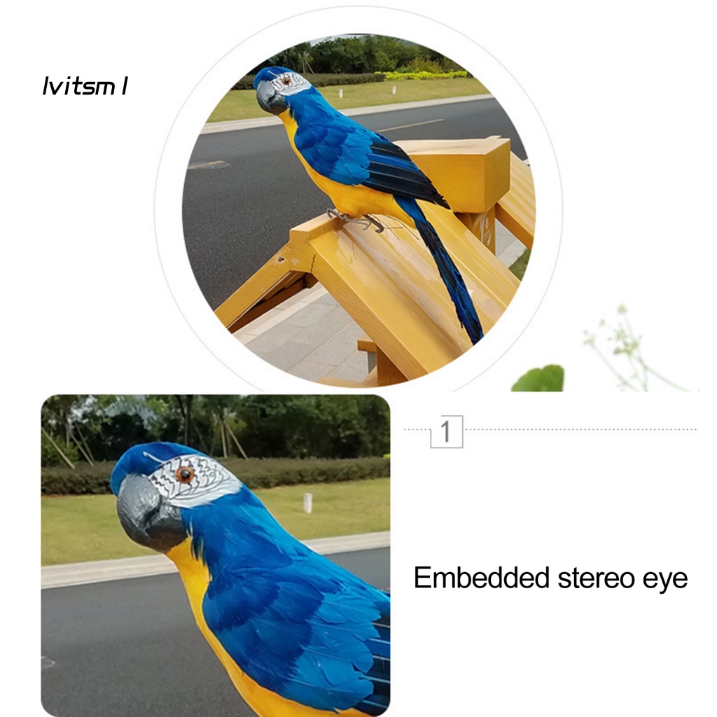 Mô Hình Chim Vẹt Mắt To 3D Bằng Xốp Màu Sắc Sống Động Dùng Trang Trí