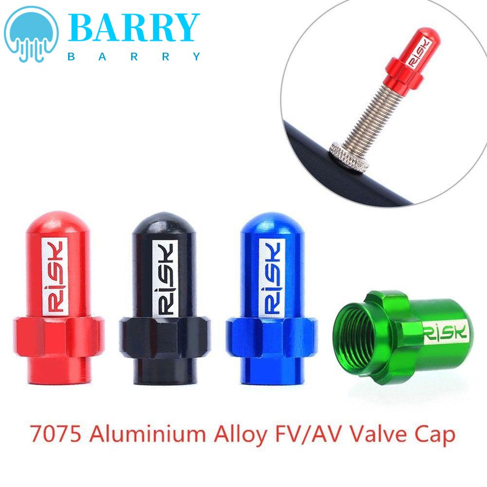 BARRY Aluminum Presta Valve Caps Ultralight Tire Valve Cap Valve Caps Dust Valve Caps Aluminium Alloy 2Pcs Dust Cover FV18 /AV18 Presta Valve Cap Mountain Road Bike Schrader Valve Caps/Multicolor