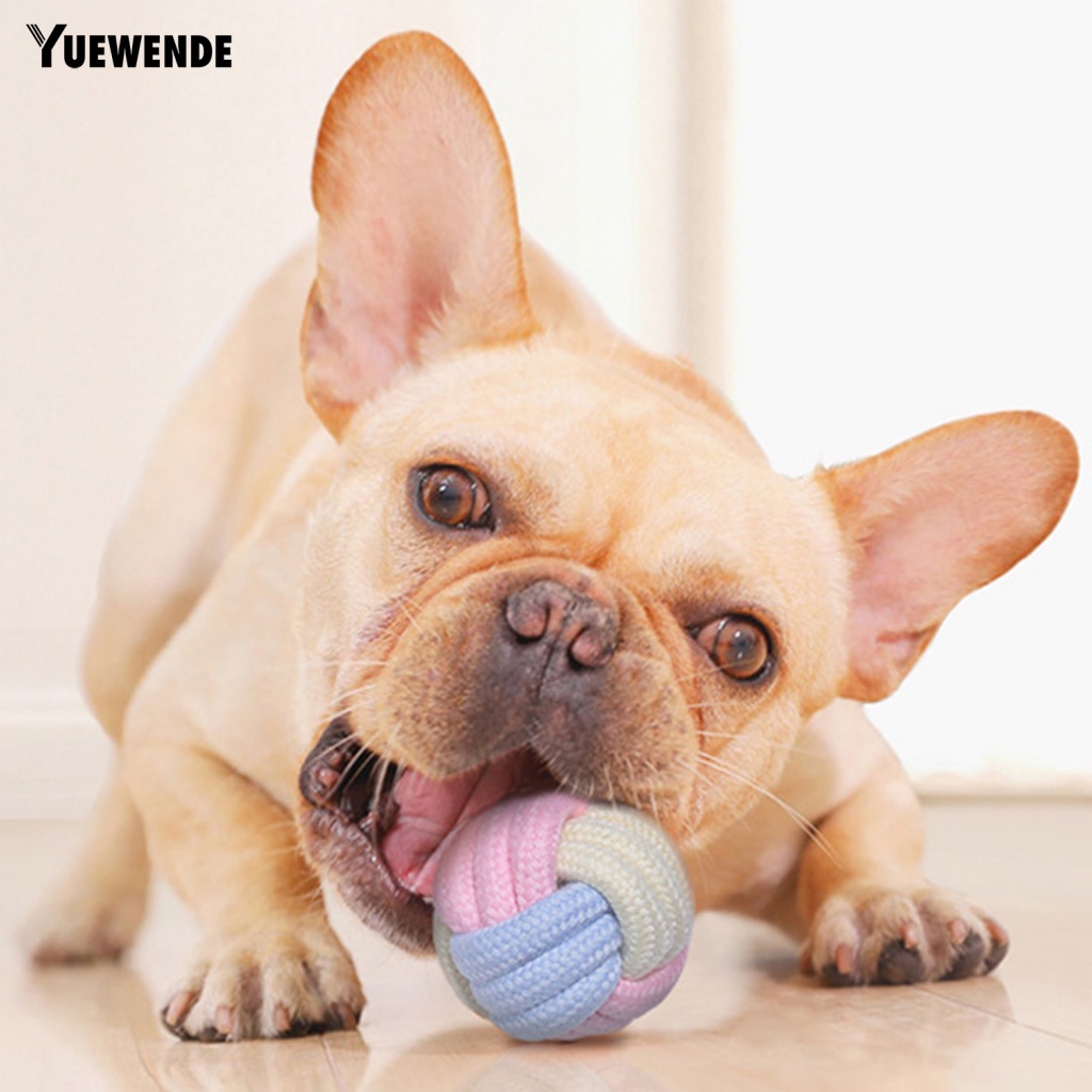 Cửa Hàng Đồ Chơi Mềm Mại Siêu Bền Có Thể Giặt Sạch Cho Thú Cưng