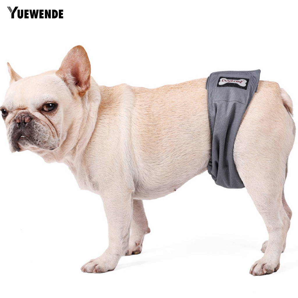 Quần An Toàn Có Thể Tái Sử Dụng Cho Thú Cưng