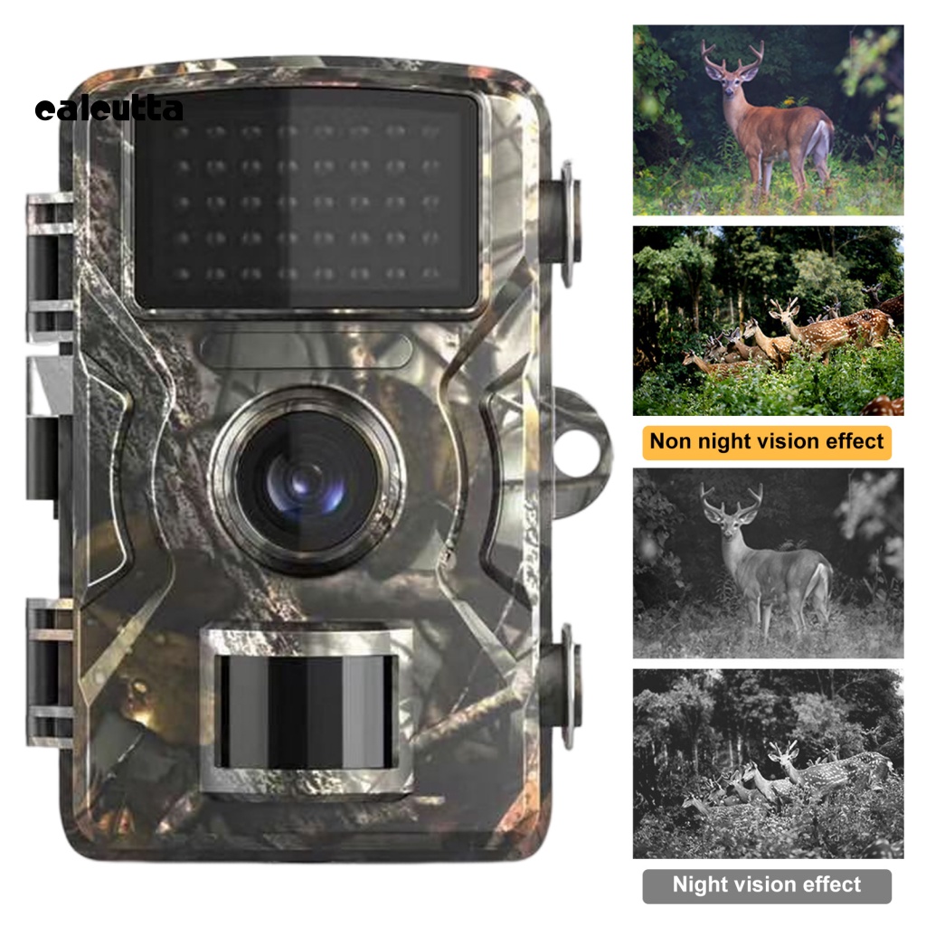 Camera Hồng Ngoại Wildlife Chống Nước IP66 Có Thể Thay Đổi Tầm Nhìn Ban Đêm HD