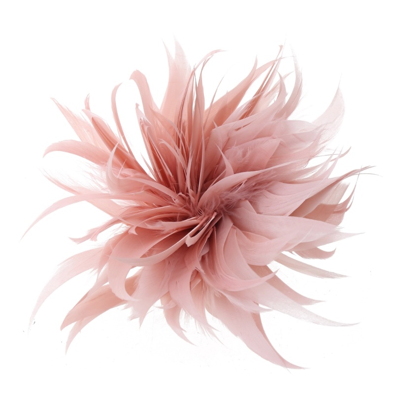 Ghim Cài Áo Hình Lông Vũ / Bông Hoa Phong Cách Cổ Điển Độc Đáo