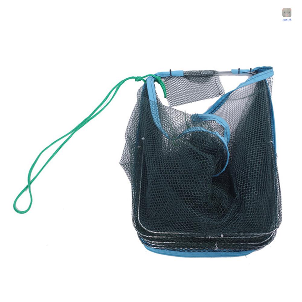 Lồng Lưới Bắt Cá Có Thể Gấp Gọn Tiện Lợi