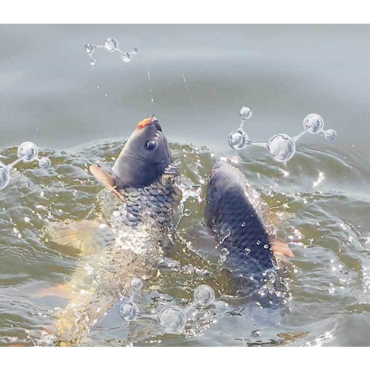 Bộ mồi câu cá LÃO NGƯ siêu nhạy vị khoai hấp dẫn thích hợp câu trắm, chép, rô, diếc - Đồ Câu DHS