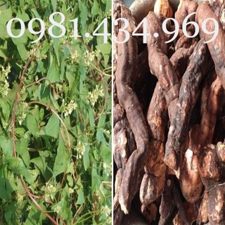 Củ Hà Thủ Ô 01KG Mới