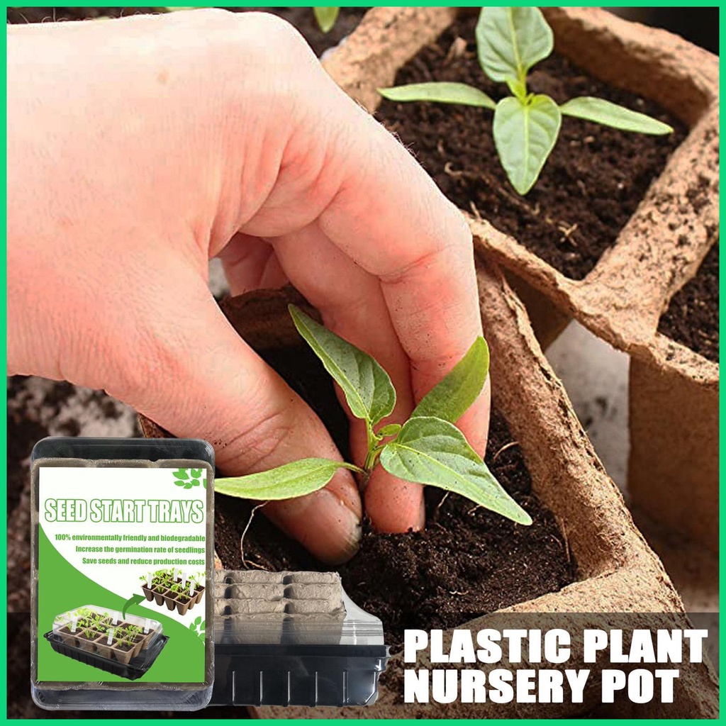 Khay Trồng Cây Mầm 12 Ngăn Mini Kèm Nắp Đậy Cho Nhà Kính jiwvn Jwvn