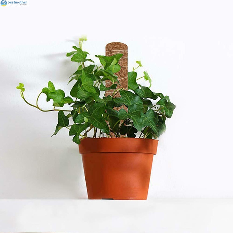 Gậy Nối Dài 30 / 45CM Dùng Trồng Cây Dây Leo Trong Nhà