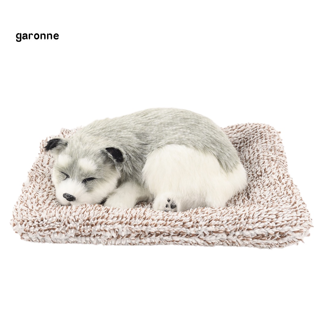 Chú Chó Nhồi Bông Carbon Hoạt Tính Sáng Tạo Trang Trí Nội Thất Xe Hơi