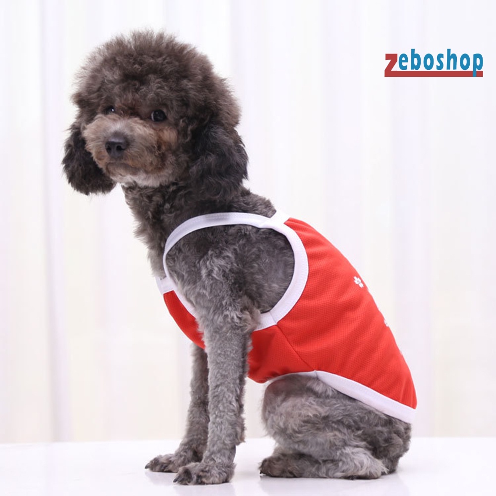 Áo Sát Nách Họa Tiết Quả Bơ / Khủng Long Dễ Thương Cho Cún Cưng