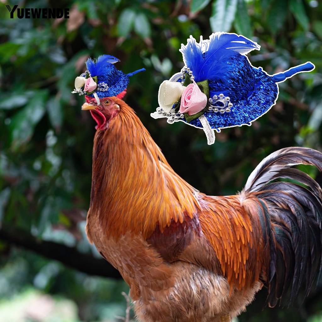 Mũ Bảo Hiểm Mini Đính Lông Vũ YQ.E Rooster Độ Đàn Hồi Cao Trang Trí Tiệc Tùng