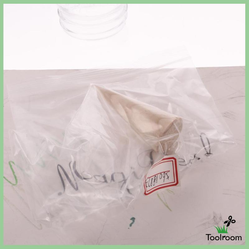 Giá Đỡ Trưng Bày Trang Sức Hình Nón Bằng Gỗ Kích Thước 2.7X3Cm