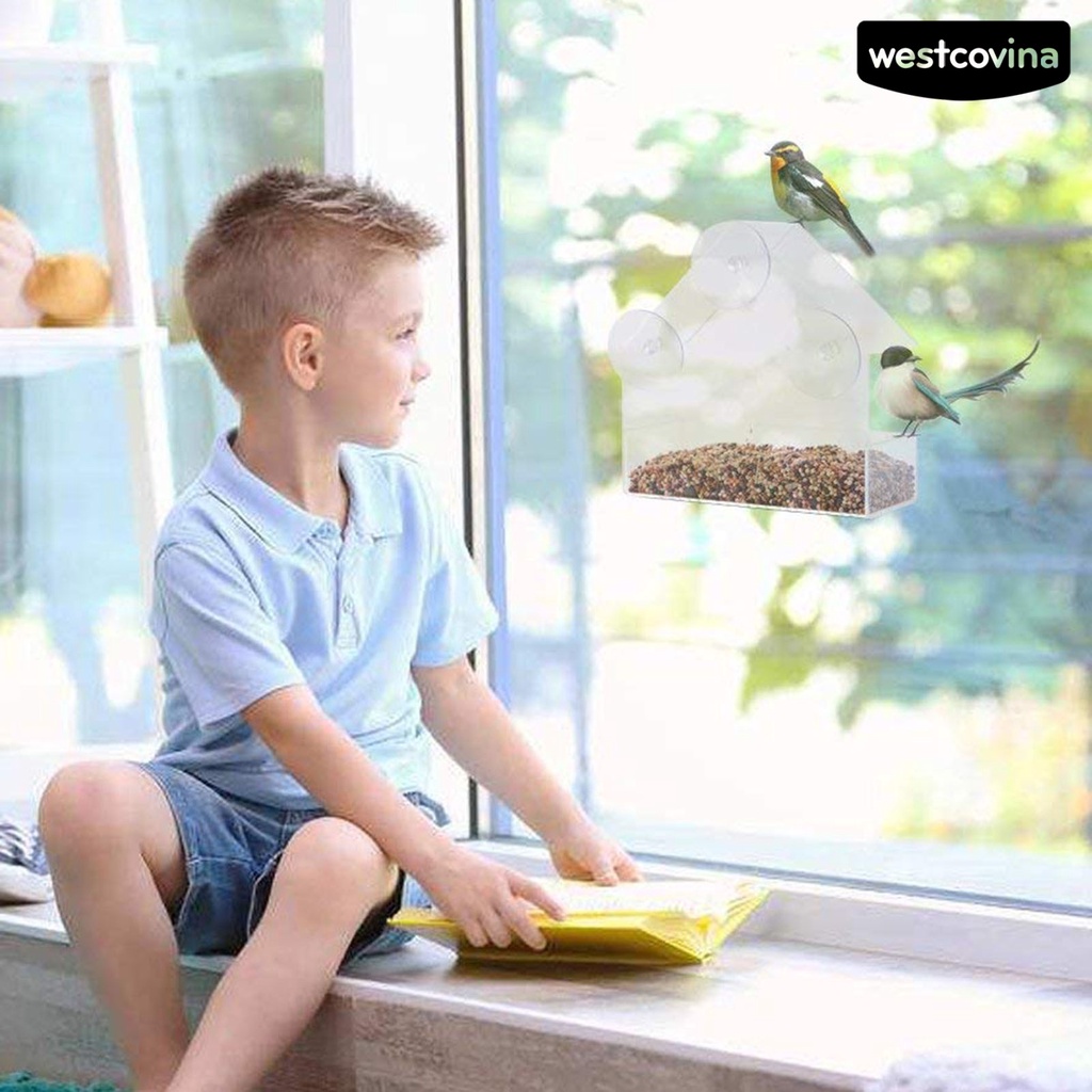 [COD]♞Khay Đựng Thức Ăn Cho Chim Bằng Acrylic Trong Suốt Có Giác Hút Gắn Tường Tiện Dụng