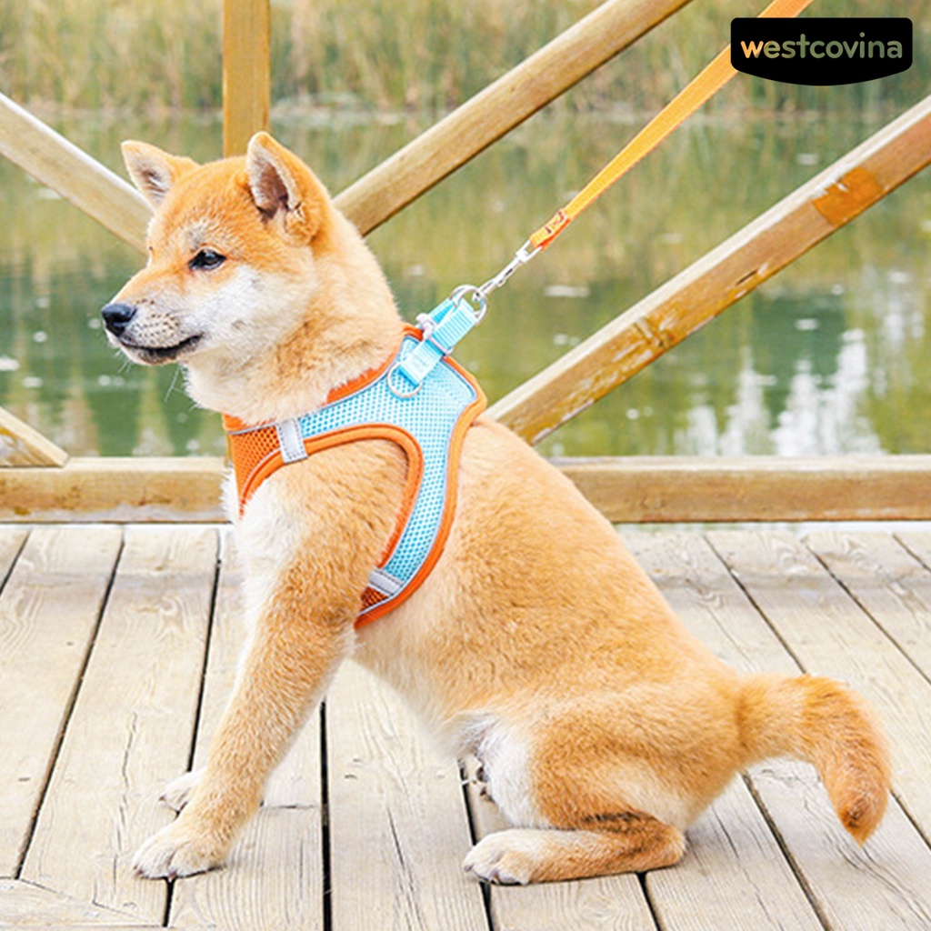 [COD]♞Dây Dắt Thú Cưng Đi Dạo Bằng Nilon Phản Quang Thoáng Khí Tiện Dụng