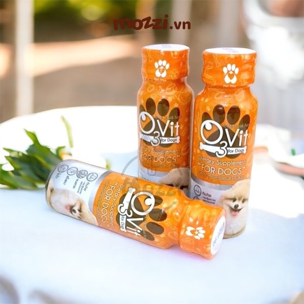 O3vit Dầu cá dưỡng da lông 50ml cho chó mèo