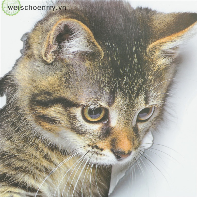 Sticker Dán Tường Họa Tiết Mèo Dễ Thương Bắt Mắt