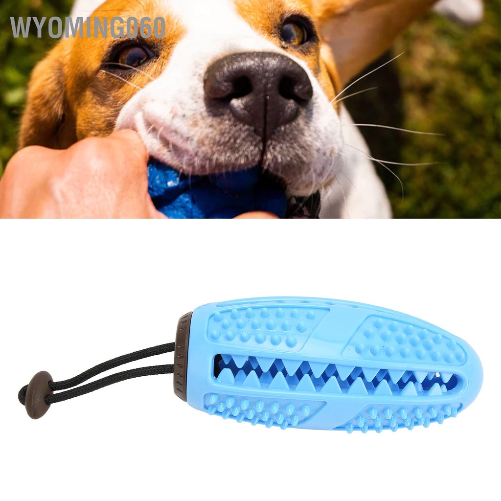 Wyoming060 Chó Trị Đồ Chơi Bóng Mọc Răng Cắn Chống Rò Rỉ Thức Ăn Cho Xếp Hình Tương Tác Màu Xanh Đậm