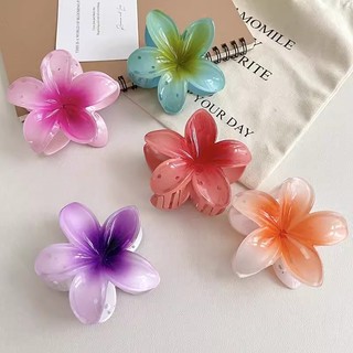Kẹp Tóc Cá Mập Lớn Bằng Acrylic Màu Sắc Gradient