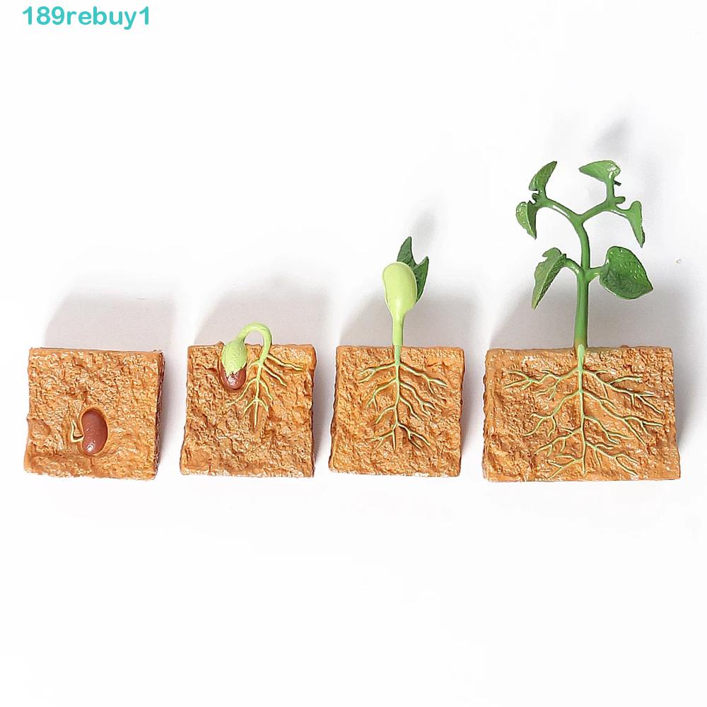 REBUY1 Mô Hình Đồ Chơi Khoa Học Bằng Nhựa PVC Cho Bé