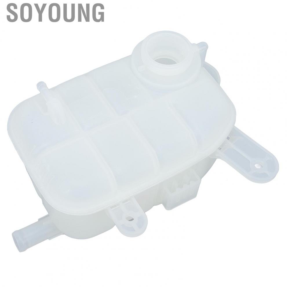 Soyoung Coolant Radiator Expansion Tank Abrasion Resistant High Temp OEM Design ABS Plastic Leak Proof 95380033 for Trax
