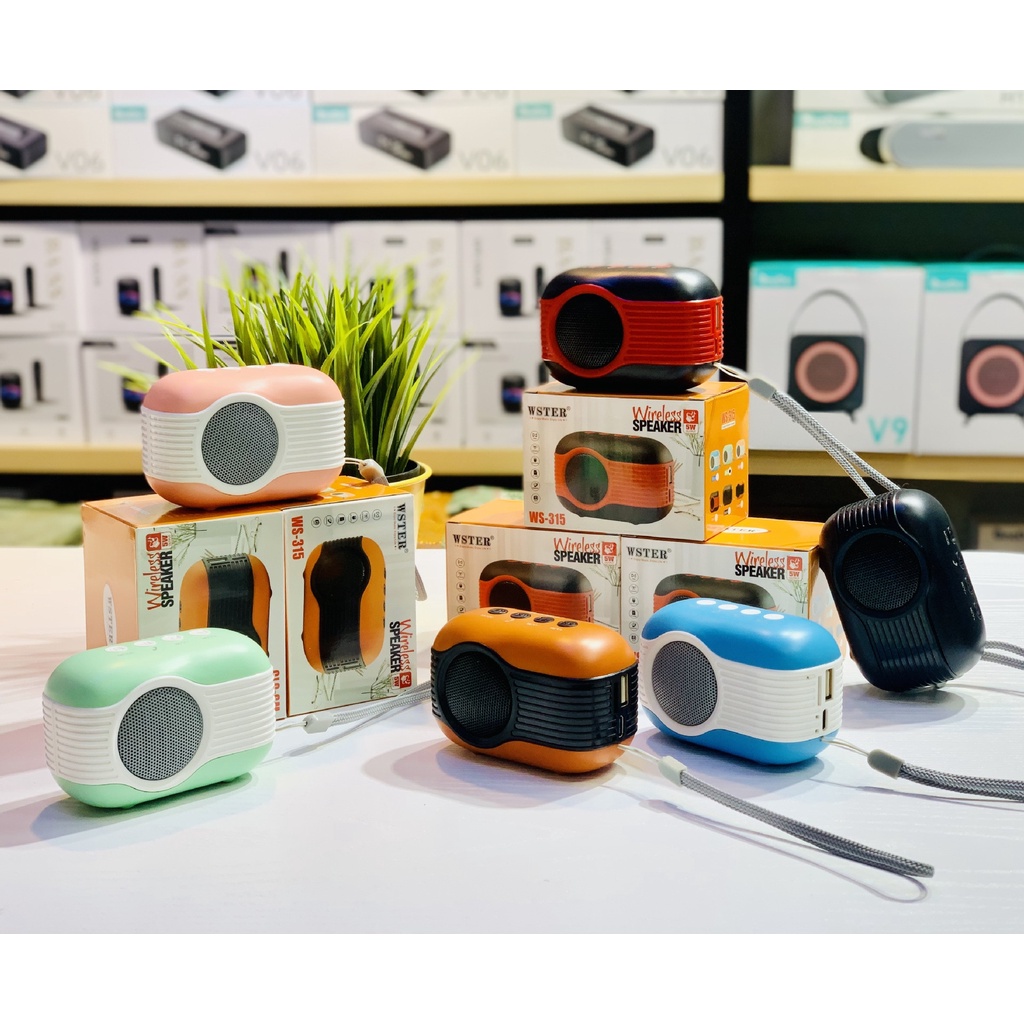 Loa bluetooth Ws 315 không dây âm thanh chuẩn , mẫu decor đẹp mắt kèm dây treo , tích hợp USB , thẻ nhớ , FM