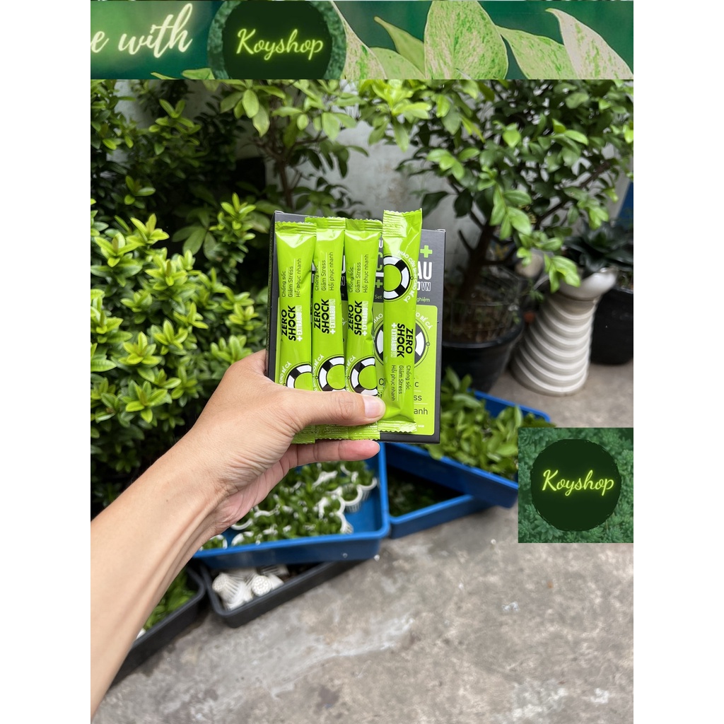 ( giao nhanh 2h) Zero Shock – Chống sốc và giảm Stress cá cảnh- 4 TÉP 10ML/HỘP - HT3