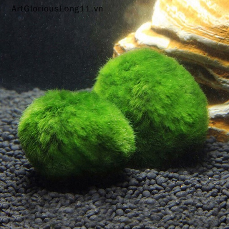 Artgloriouslong 3-4cm marimo balls tảo cá tôm trang trí mô phỏng quả bóng tảo xanh cây nhân tạo.