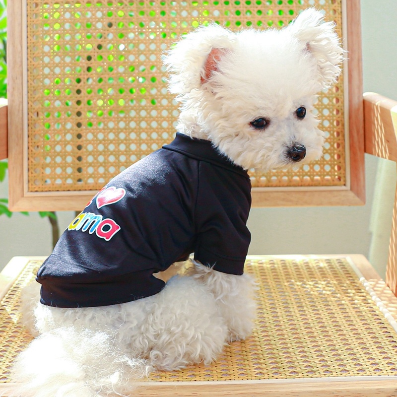 Áo Thun In Chữ Super Dog Dễ Thương Thời Trang Mùa Xuân Cho Cún Cưng