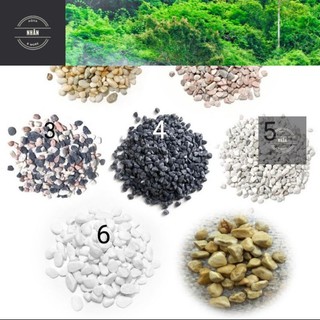 500gr Sỏi trắng, sỏi đen, sỏi hồng, sỏi vàng, sỏi biển, sỏi ba màu _ Đá rải tiểu cảnh terrarium - Giao hàng siêu nhanh.
